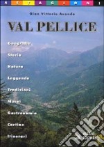 Quattro stagioni in val Pellice libro