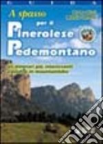 A spasso per il pinerolese pedemontano. Gli itinerari più interessanti a piedi e in mountain bike libro