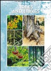 Trees and leaves libro