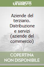 Aziende del terziario. Distribuzione e servizi (aziende del commercio) libro