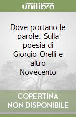 Dove portano le parole. Sulla poesia di Giorgio Orelli e altro Novecento libro