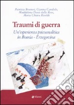 Traumi di guerra. Un'esperienza psicoanalitica in Bosnia-Erzegovina