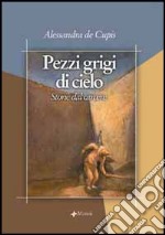 Pezzi grigi di cielo. Storie dal carcere