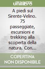 A piedi sul Sirente-Velino. 75 passeggiate, escursioni e trekking alla scoperta della natura. Con carta 1:25.000 libro