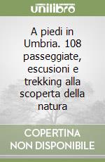 A piedi in Umbria. 108 passeggiate, escusioni e trekking alla scoperta della natura libro