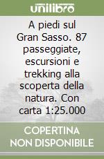 A piedi sul Gran Sasso. 87 passeggiate, escursioni e trekking alla scoperta della natura. Con carta 1:25.000 libro