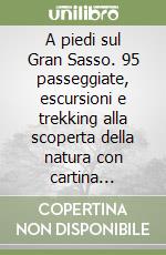 A piedi sul Gran Sasso. 95 passeggiate, escursioni e trekking alla scoperta della natura con cartina allegata 1:25.000 libro