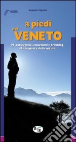 A piedi nel Veneto libro