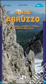 A piedi in Abruzzo. 116 passeggiate, escursioni e trekking alla scoperta della natura. Vol. 1 libro