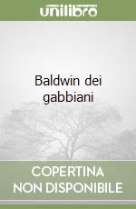 Baldwin dei gabbiani libro