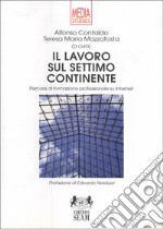 Il lavoro sul settimo continente. Percorsi di formazione professionale su Internet libro