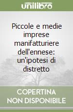 Piccole e medie imprese manifatturiere dell'ennese: un'ipotesi di distretto libro