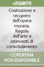 Costruzione e recupero dell'opera muraria. Regola dell'arte e interventi di consolidamento libro