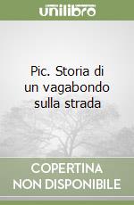 Pic. Storia di un vagabondo sulla strada libro