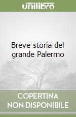 Breve storia del grande Palermo libro