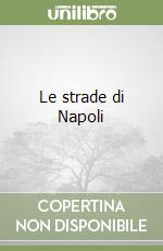 Le strade di Napoli libro