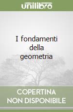 I fondamenti della geometria libro