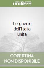 Le guerre dell'Italia unita libro