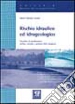 Rischio idraulico ed idrogeologico. Procedure di pianificazione, verifiche, controllo e gestione delle emergenze libro