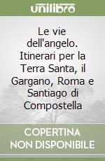 Le vie dell'angelo. Itinerari per la Terra Santa, il Gargano, Roma e Santiago di Compostella libro