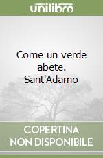 Come un verde abete. Sant'Adamo