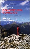 La nuova guida alle Dolomiti del Comelico. Escursioni e salite alle cime per via normale in oltre 60 proposte libro