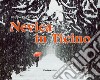 Nevica in Ticino. Ediz. illustrata libro di Ricciardi Filippo