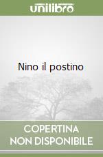 Nino il postino libro