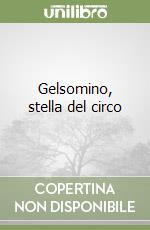 Gelsomino, stella del circo libro