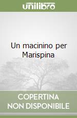 Un macinino per Marispina libro