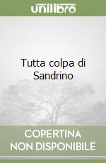 Tutta colpa di Sandrino libro