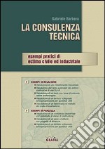 La consulenza tecnica. Esempi pratici di estimo civile ed industriale libro