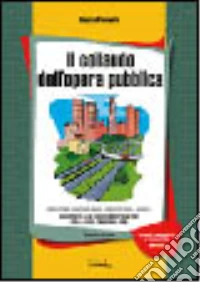 Il collaudo dell'opera pubblica. Con CD-ROM libro