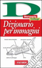 Italiano. Dizionario per immagini libro