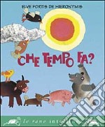 Che tempo fa? Ediz. illustrata libro