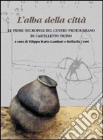 L'alba della città. Le prime necropoli del centro protourbano di Castelletto Ticino. Ediz. illustrata libro