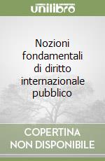 Nozioni fondamentali di diritto internazionale pubblico libro