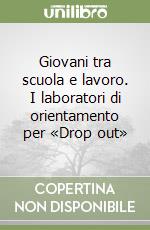 Giovani tra scuola e lavoro. I laboratori di orientamento per «Drop out» libro