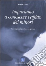 Impariamo a conoscere l'affido dei minori. Buone prassi per l'accoglienza libro