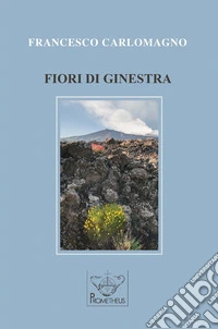 Fiori di ginestra libro