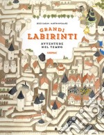 Avventure nel tempo. Grandi labirinti libro