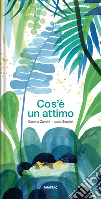 Cos'è un attimo libro