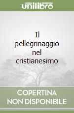 Il pellegrinaggio nel cristianesimo libro