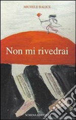 Non mi rivedrai libro