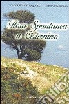 Flora spontanea a Cisternino libro