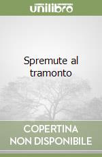 Spremute al tramonto libro