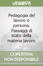 Pedagogia del lavoro e persona. Passaggi di stato della materia lavoro libro