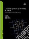 La delinquenza giovanile in Italia. I risultati di una ricerca multicentrica libro