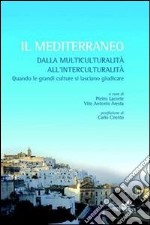 Il mediterraneo. Dalla multiculturalità all'interculturalità libro