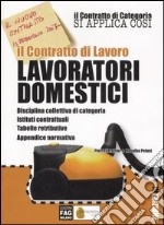 Il contratto di lavoro. Lavoratori domestici libro